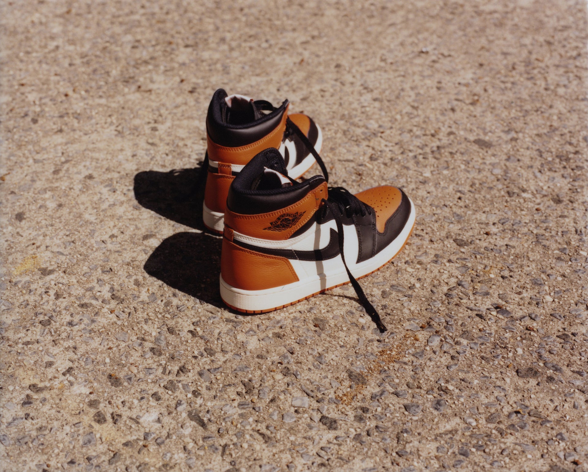 Air Jordan 1 Retro High OG - Shattered Backboard
