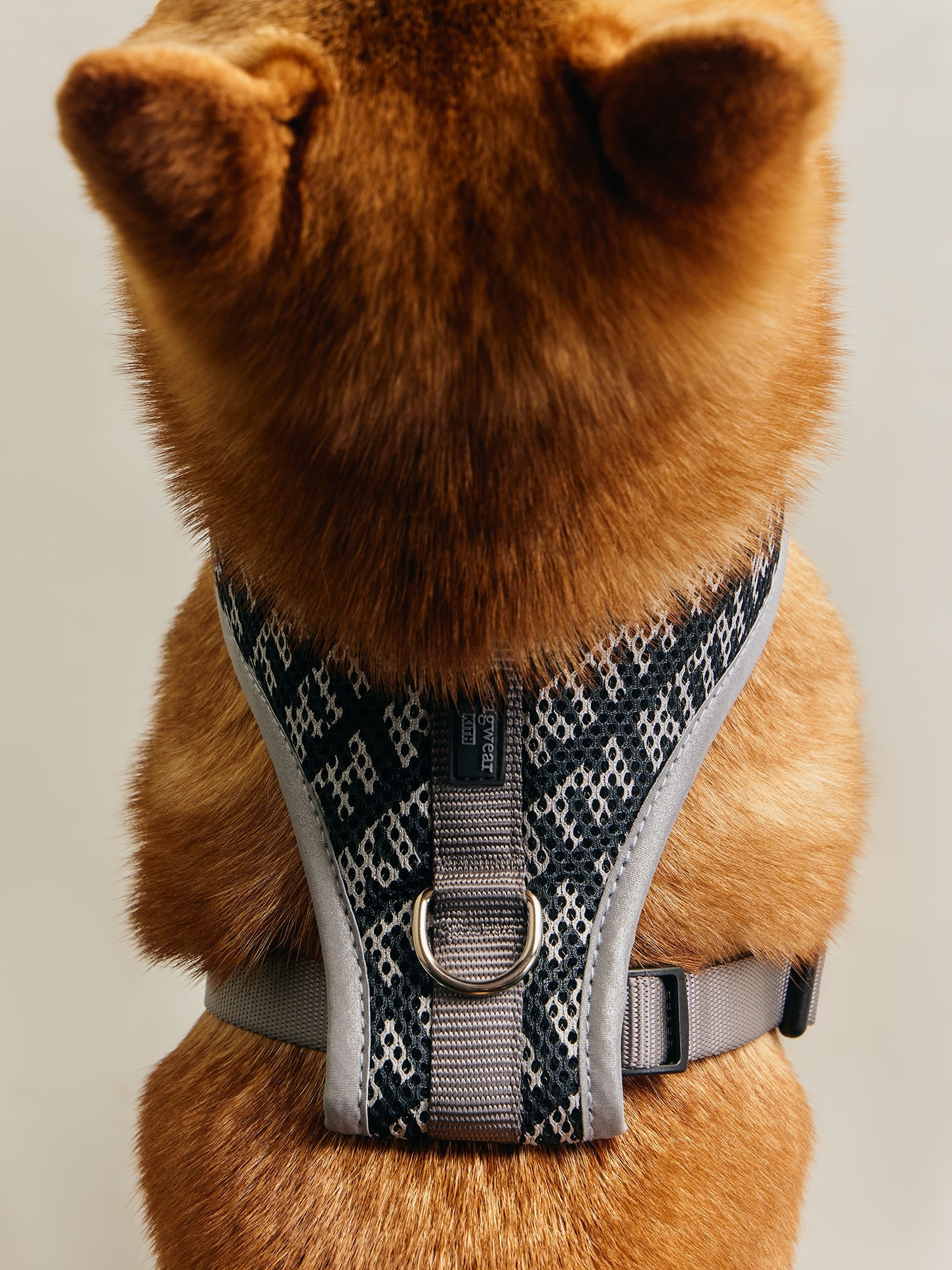 KITH × wagwear ドッグレインコート イエロー L 試着のみ 犬用